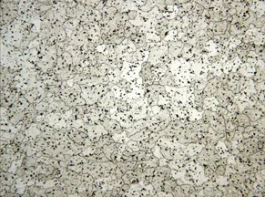 6061 aluminum alloy microstructure
